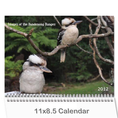 2012 D R  Calendar By Kathie Thomas Cover