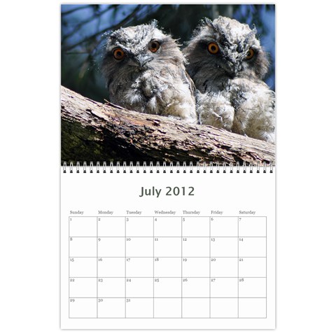 2012 D R  Calendar By Kathie Thomas Jul 2012