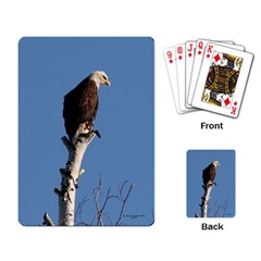 eagle cards - Playing Cards Single Design (Rectangle)