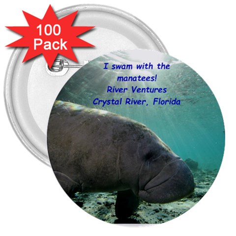 Manatee Button By Rosie Gammell Front