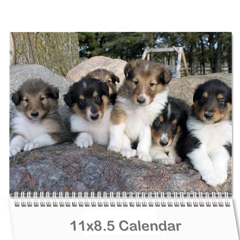 Puppy Calendar By Dschroeder Arvig Net Cover