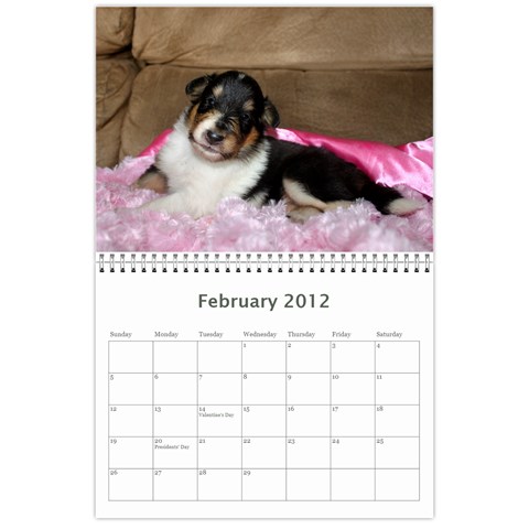 Puppy Calendar By Dschroeder Arvig Net Feb 2012