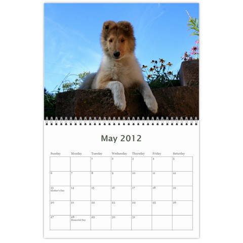 Puppy Calendar By Dschroeder Arvig Net May 2012