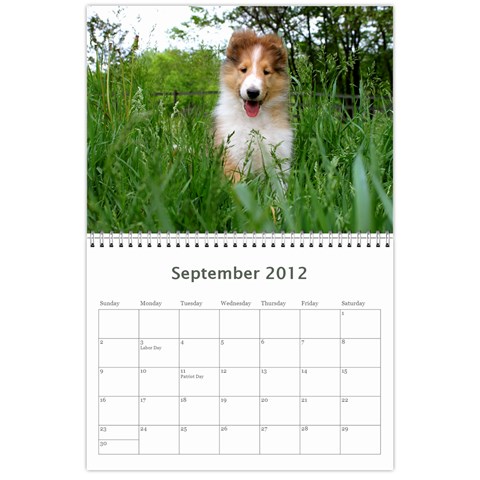 Puppy Calendar By Dschroeder Arvig Net Sep 2012