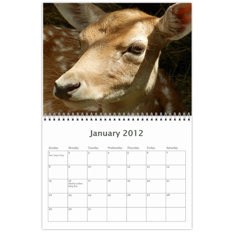 Nature Calendar By Hadassa Seliger Jan 2012