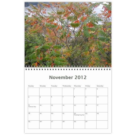 Nature Calendar By Hadassa Seliger Nov 2012