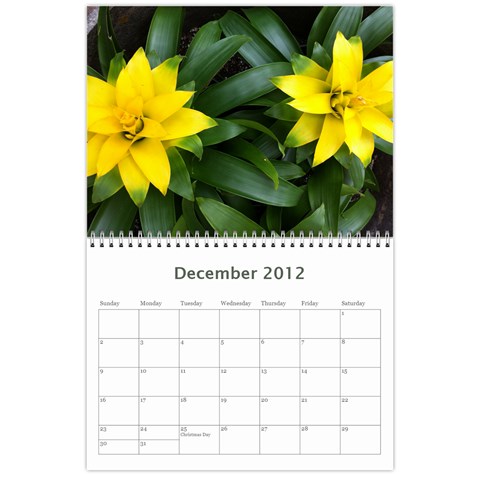 Nature Calendar By Hadassa Seliger Dec 2012