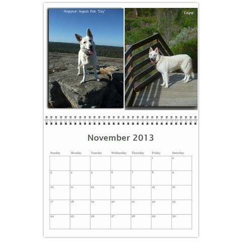 2013 Wssdca Calendar By Donna Nov 2013