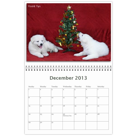 2013 Wssdca Calendar By Donna Dec 2013