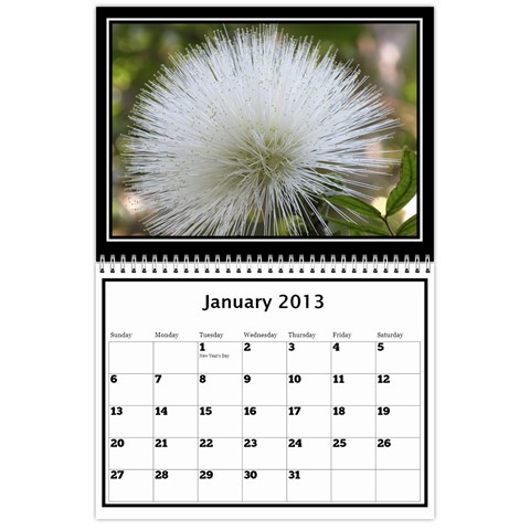 Pops Calendar By Deborah Jan 2013