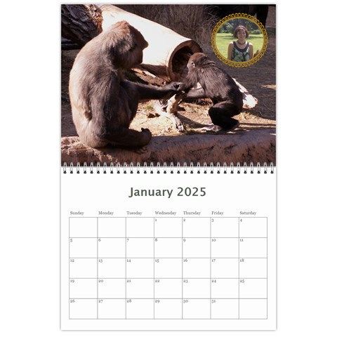 Animal Calendar 2025 By Kim Blair Jan 2025