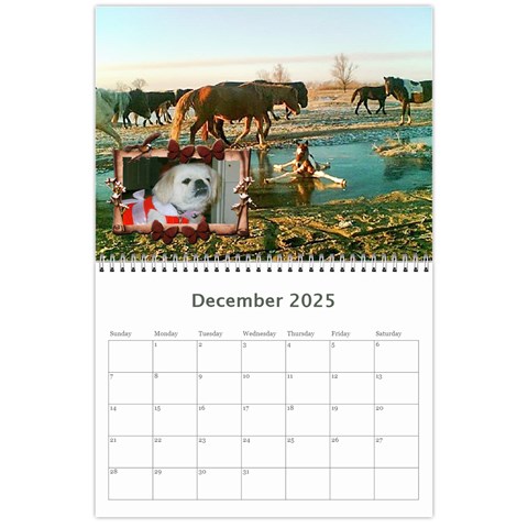 Animal Calendar 2025 By Kim Blair Dec 2025