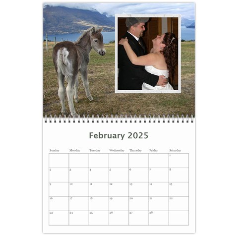 Animal Calendar 2025 By Kim Blair Feb 2025