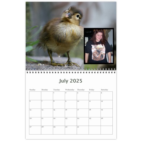 Animal Calendar 2025 By Kim Blair Jul 2025