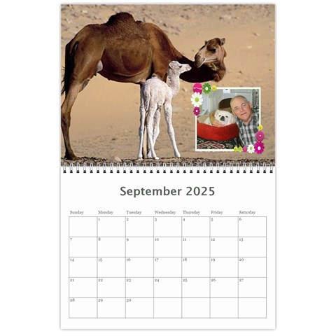 Animal Calendar 2025 By Kim Blair Sep 2025