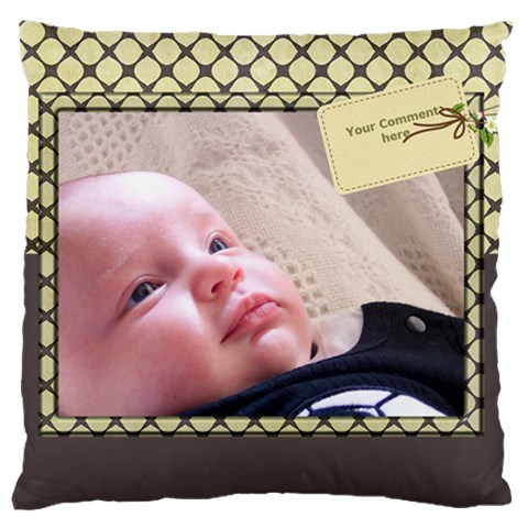 Perfect Picture Large Cushion Case By Deborah Front