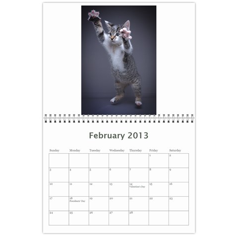 Karate Cats By Joey Kessler Feb 2013