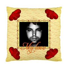 I love you - Standard Cushion Case (Two Sides)