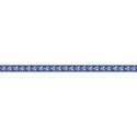 FranB_Pirate_ribbon_blue