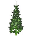 tree2