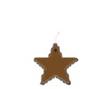 Gringerbread cookie star1