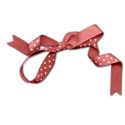 schua_springwardrobe_ribbon4 copy