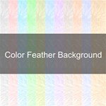 Color Feather Background 
