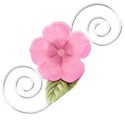 DS_SC_FlowerClipSOFT