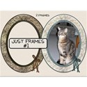 Just Frames #1 