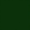 dark green square