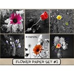 Flowers Paper Set #1