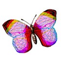 Paper Butterflys - 07