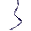 cs_ribbon1