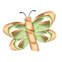 jThompson_melon_butterfly2