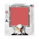 U.S.A. Frame