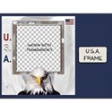 U.S.A. Frame 