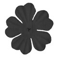 flowerblack