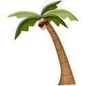 palmtree