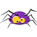 spider