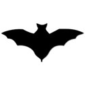 Bat