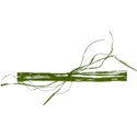 jss_timeforfall_raffia wrap green