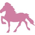 pink horse