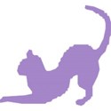 Purple cat