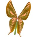 butterfly2