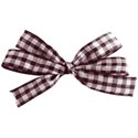 jss_letstalkturkey_gingham bow purple