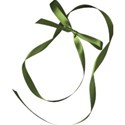 jss_letstalkturkey_looped ribbon green