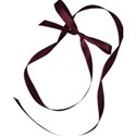 jss_letstalkturkey_looped ribbon purple