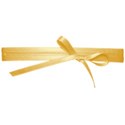 jss_letstalkturkey_photo wrap yellow