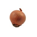 onion