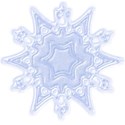 snowflake5